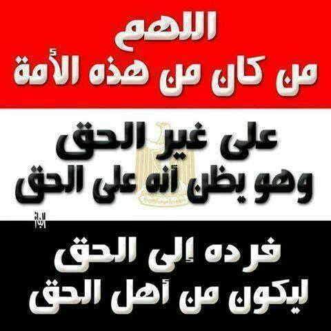 Tamer Sharaf Eldin